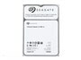 هارد اینترنال سیگیت ST10000NM0016 Enterprise 10TB